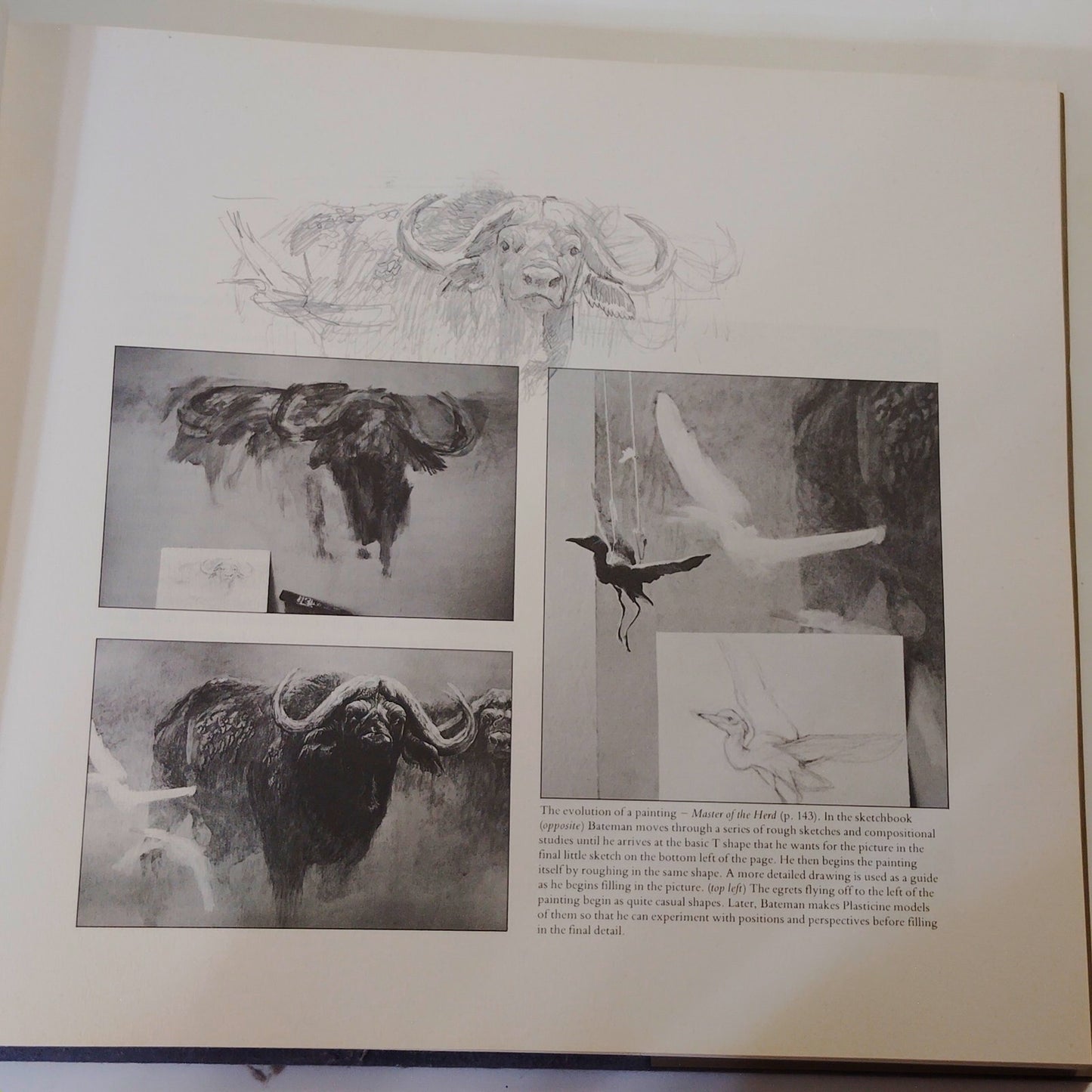 The Art of Robert Bateman 1981 Hardcover Signed Artist 12.25" x 11.5"