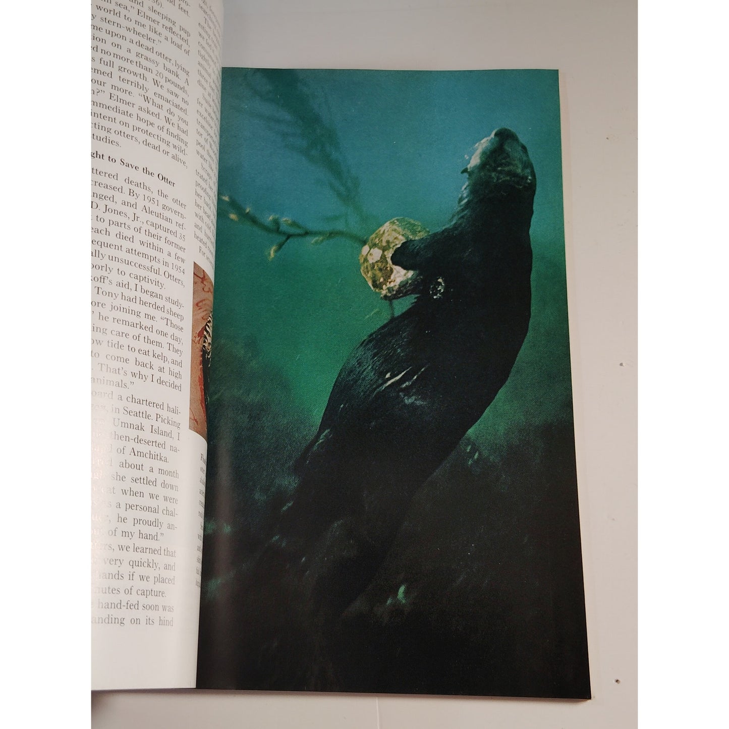 National Geographic Magazine – October 1971, Ganges River, Sea Otters, Hong Kong