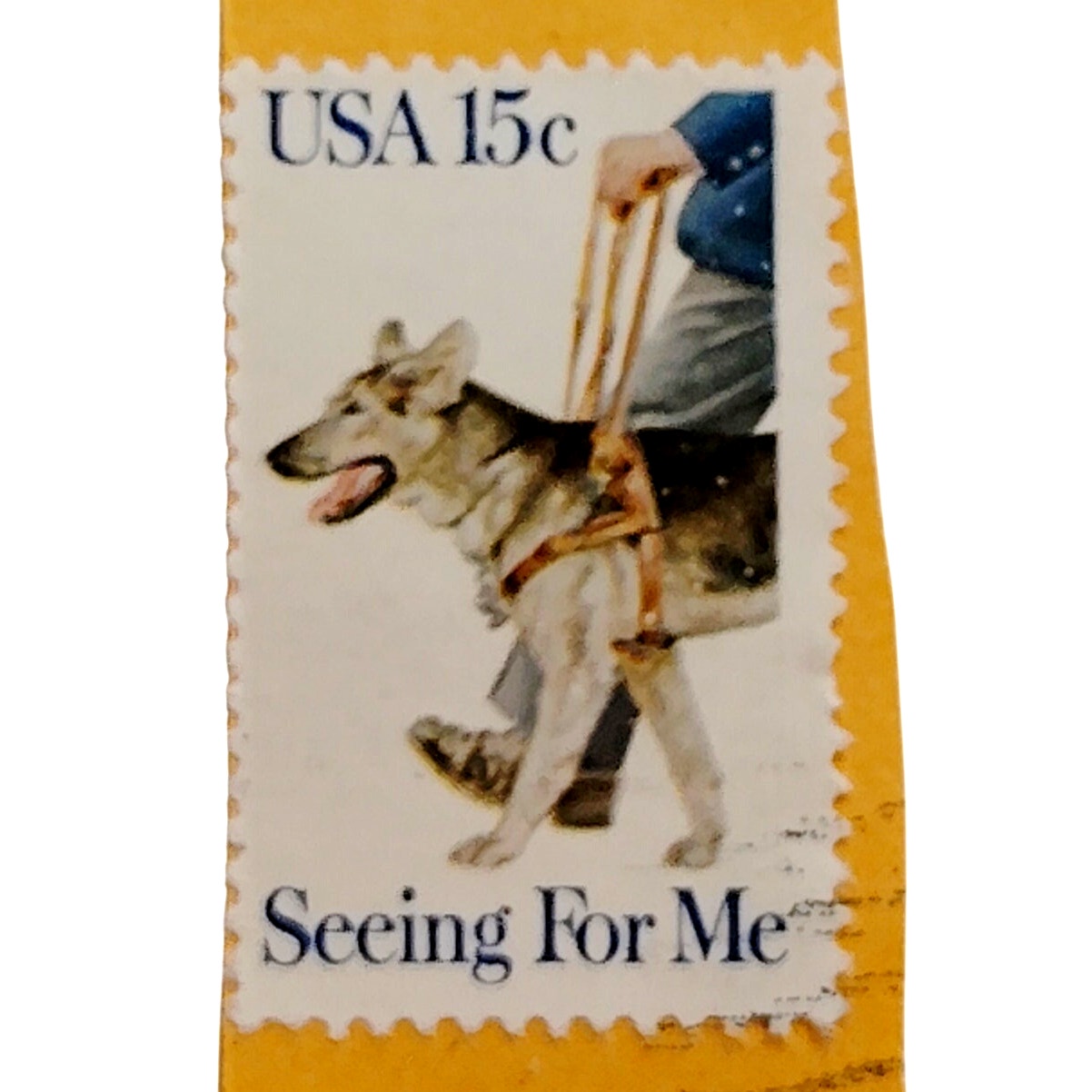 1979 USA 15¢ “Seeing For Me” Scott 1787 – Guide Dog Issue - Canceled