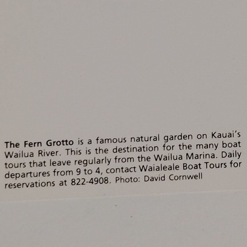 VTG Fern Grotto Kauai Hawaii Postcard Wailua River 2004 NOS