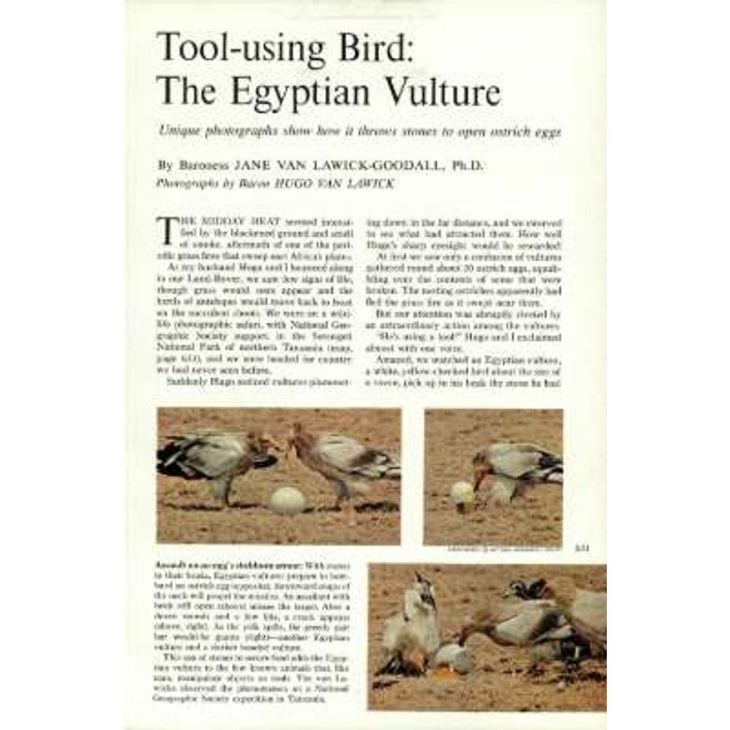 National Geographic Magazine May 1968, Finland, Nevada, Ile De La Cite, Cascades