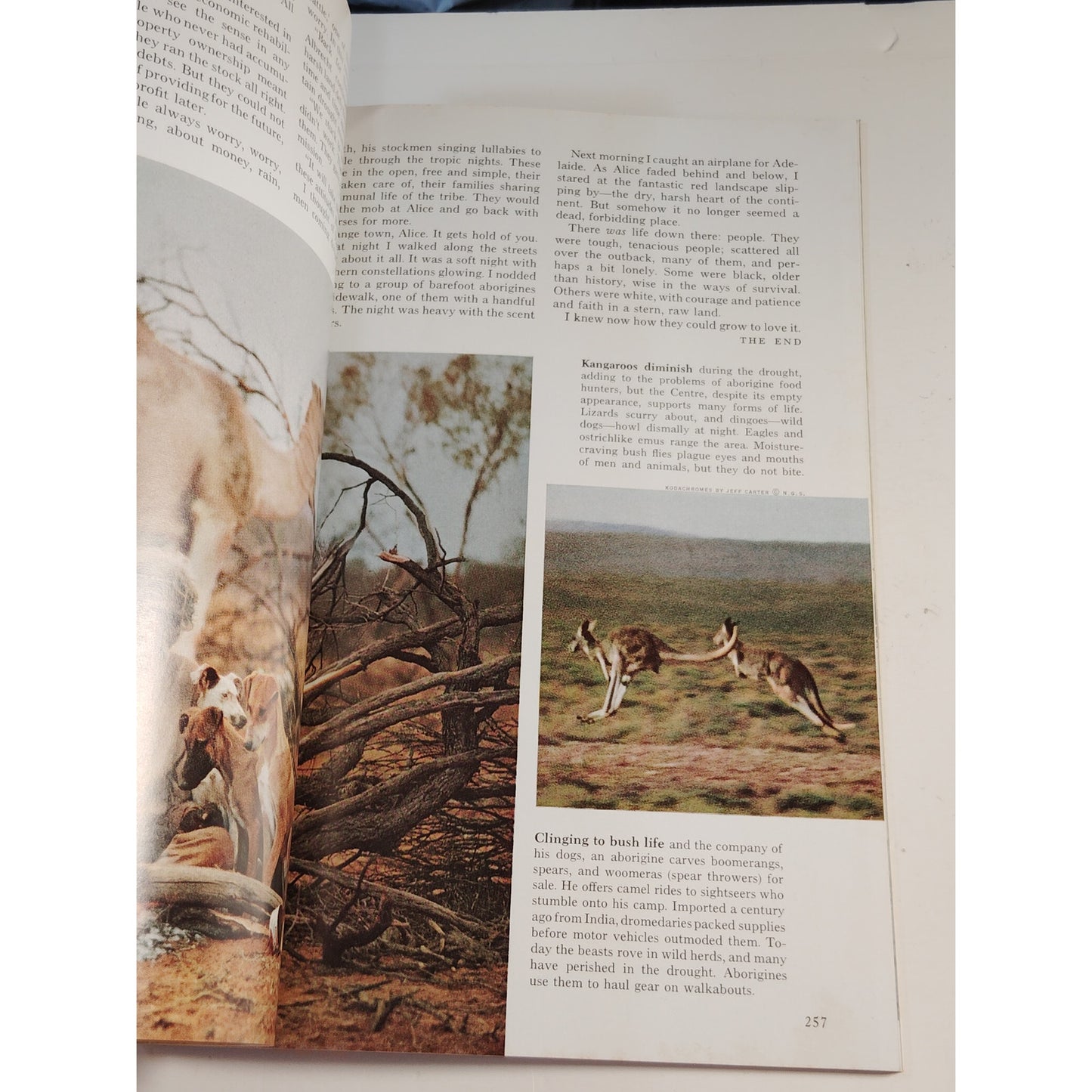 National Geographic – February 1966 | Bolivia, Vietnam War & St. Augustine