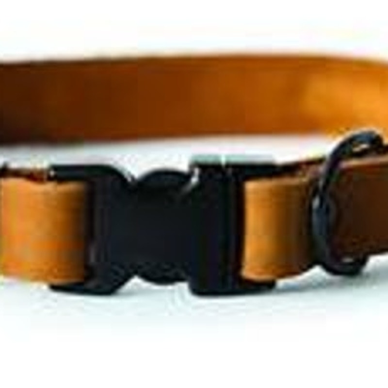 Euro‑Dog Sport Style Luxury Leather Dog Collar Bark Brown X‑Small