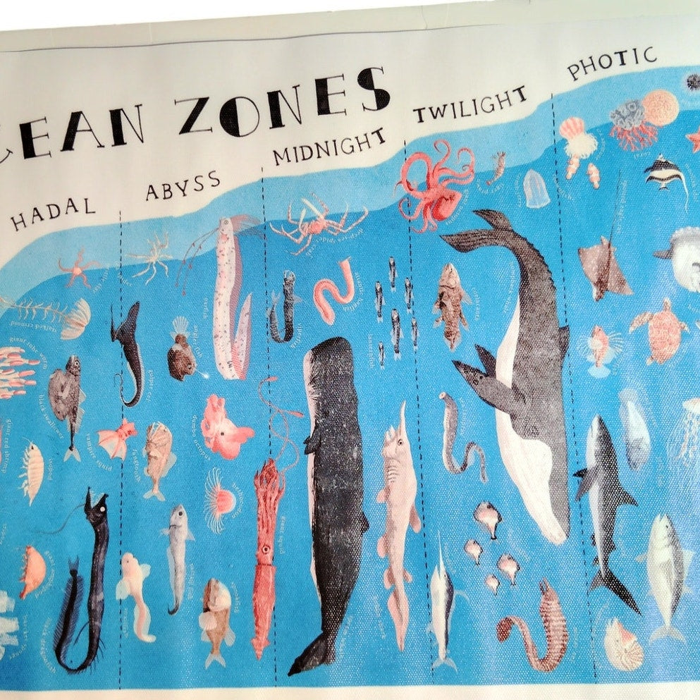 The Layers Ocean Zones Canvas Print Poster – 12x18" Unframed, Marine Biology Educational Wall Art