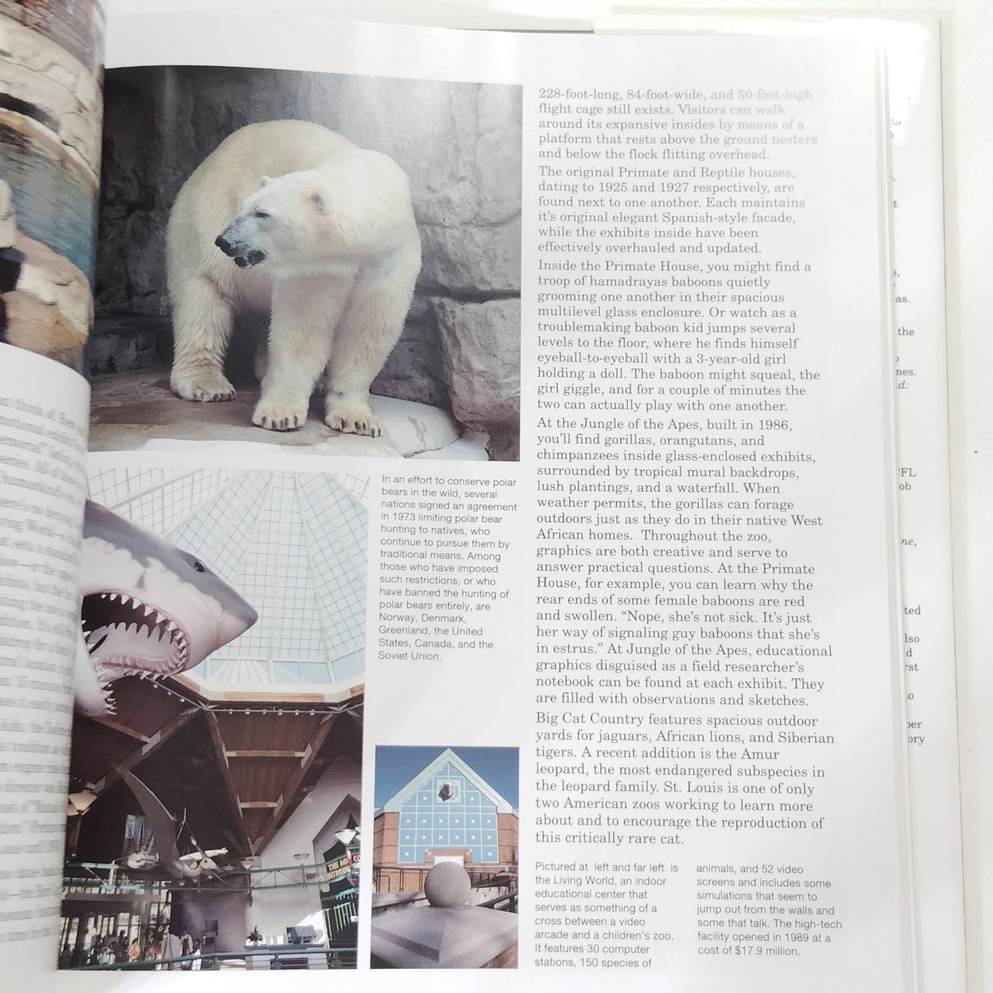 American Zoos 1992 Hardcover Wildlife Photography Book 12.5" x 10.75"