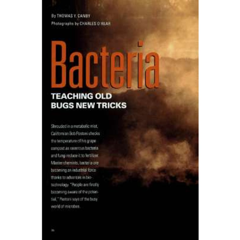 National Geographic August 1993 -Cumberland River, Horn of Africa, Tibet's Remote Chang Tang, Sweden, Bacteria Old Bugs-New Tricks...