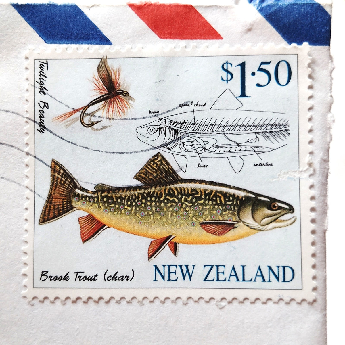 New Zealand 1997 Brook Trout $1.50 Stamp Airmail FastPost Cover to USA