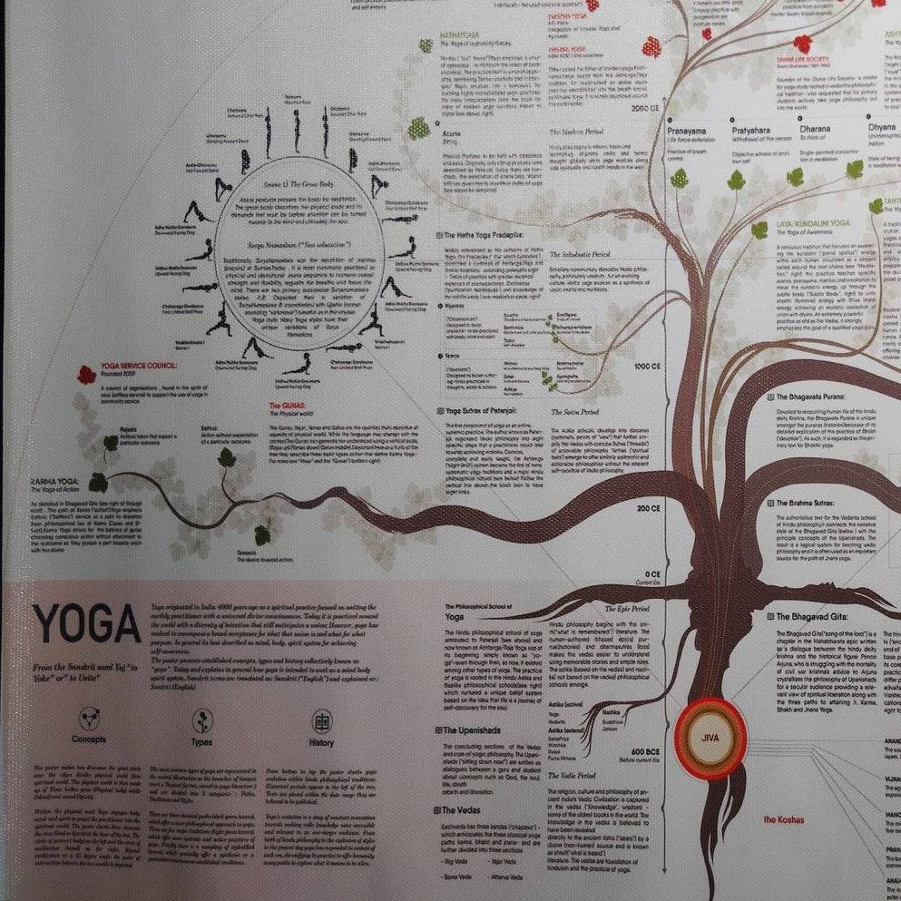 Yoga Tree of Knowledge Poster – Spiritual & Educational Wall Chart (Unframed, 18x12")