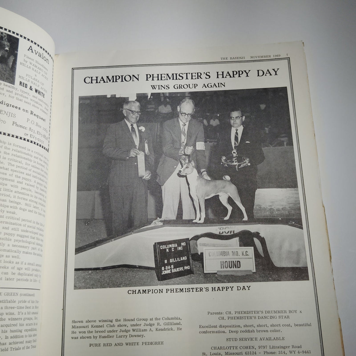 Vintage The Basenji Magazine November 1969 Vol VI No 11 Champion Ubombo