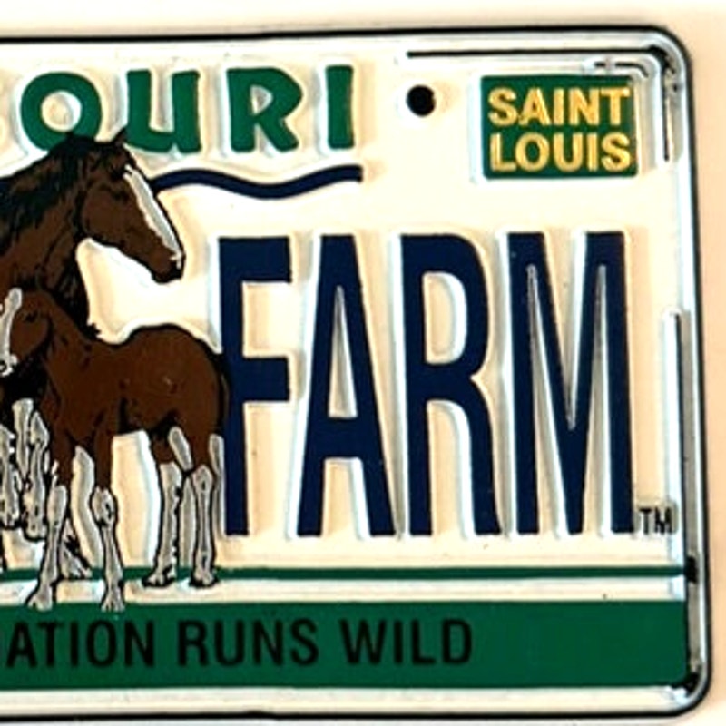 Missouri Grant’s Farm 3D PVC License Plate Magnet Clydesdale Foal 3.75" x 2"