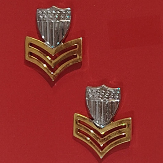 Vanguard Coast Guard Collar Devices, E6 Petty Officer, Metal Insignia – 1" x ¾"