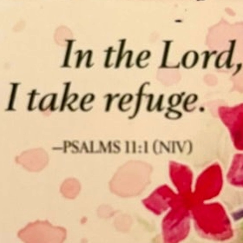 Psalms 11:1 Scripture Magnet Pink Watercolor Flowers Christian Inspirational