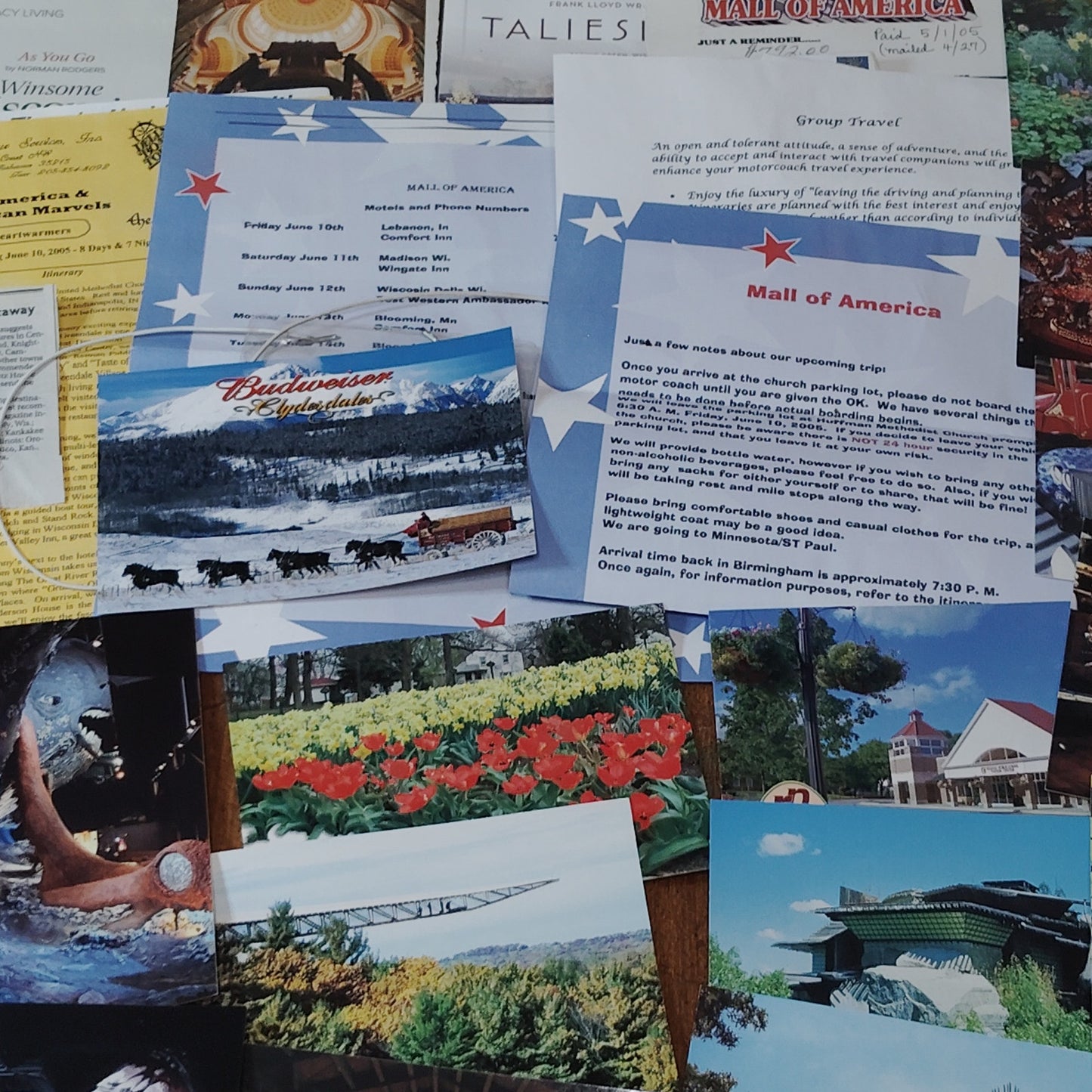 Vintage WI MN ND IA Postcard Lot - Mall of America, Budweiser Clydesdales