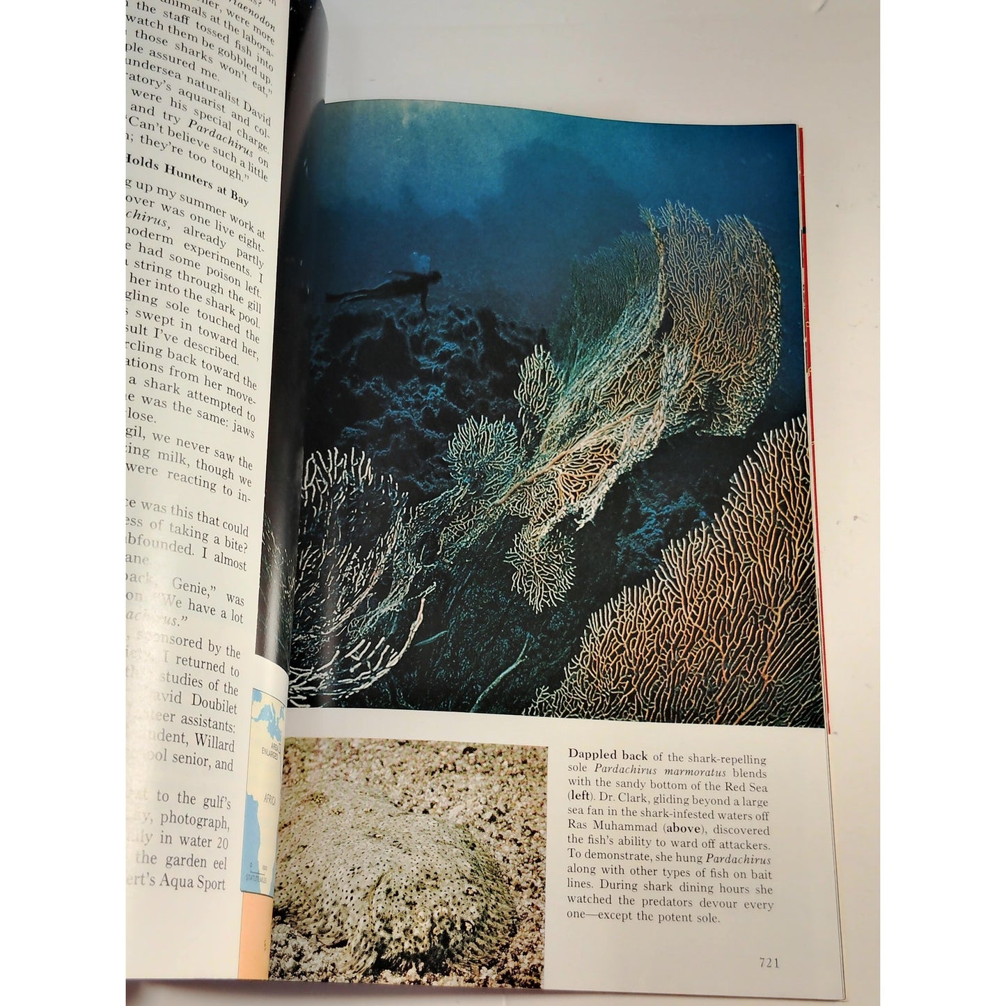 National Geographic – November 1974, Virginia, Maya Civilization, Renaissance