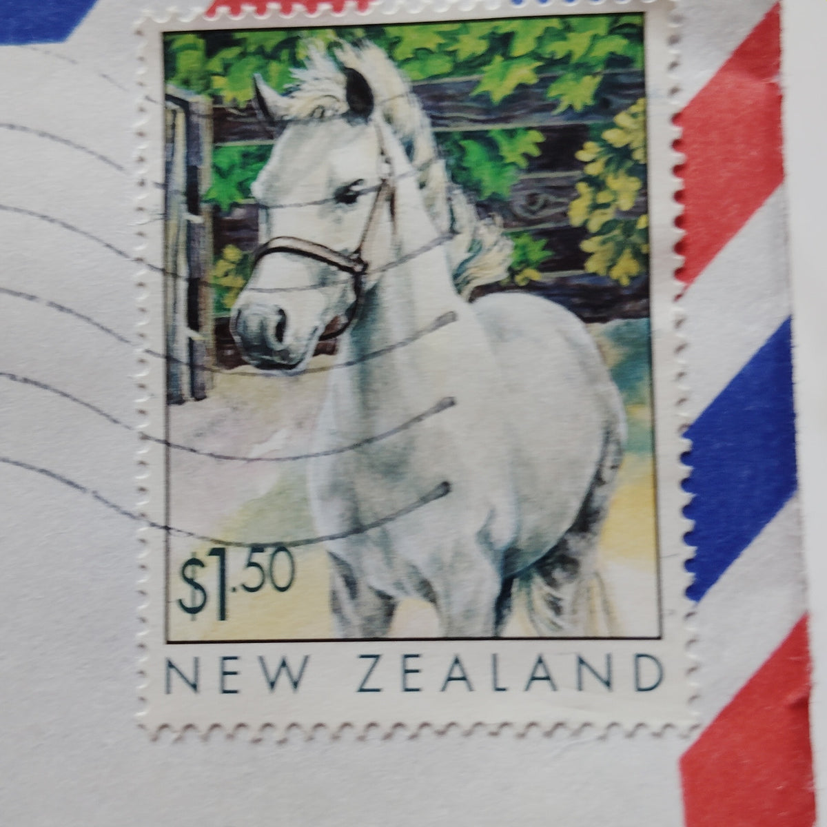 1999 New Zealand Airmail Cover $1.50 Horse Stamp Wellington Postmark to USA