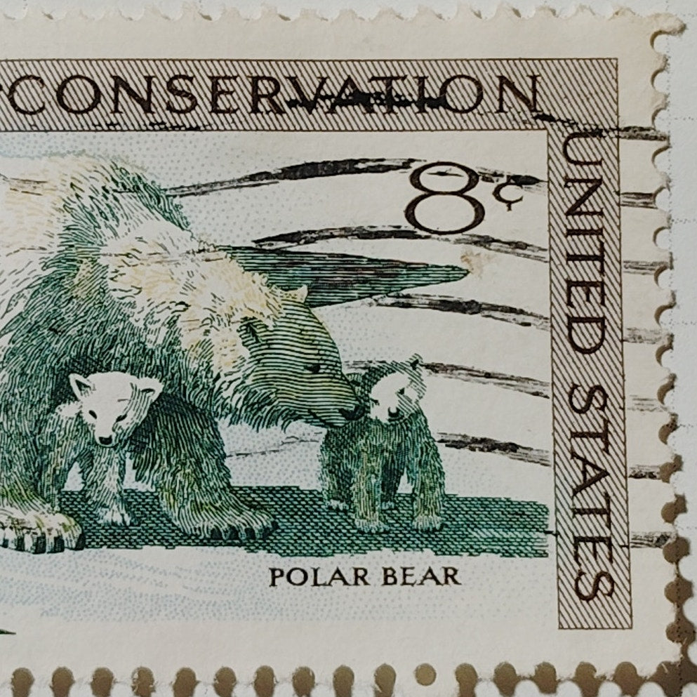 1971 US Postage Stamp #1429 Wildlife Conservation Polar Bear Cubs 8c Used