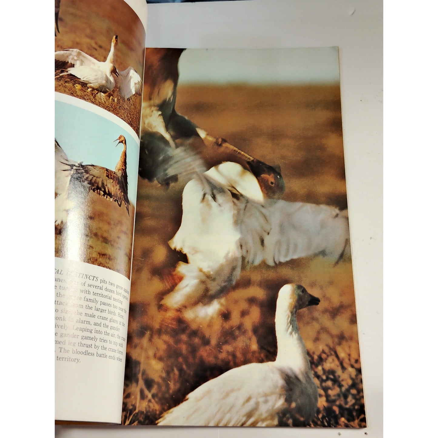 National Geographic Magazine – December 1973, Incas, Greenland, Antarctica