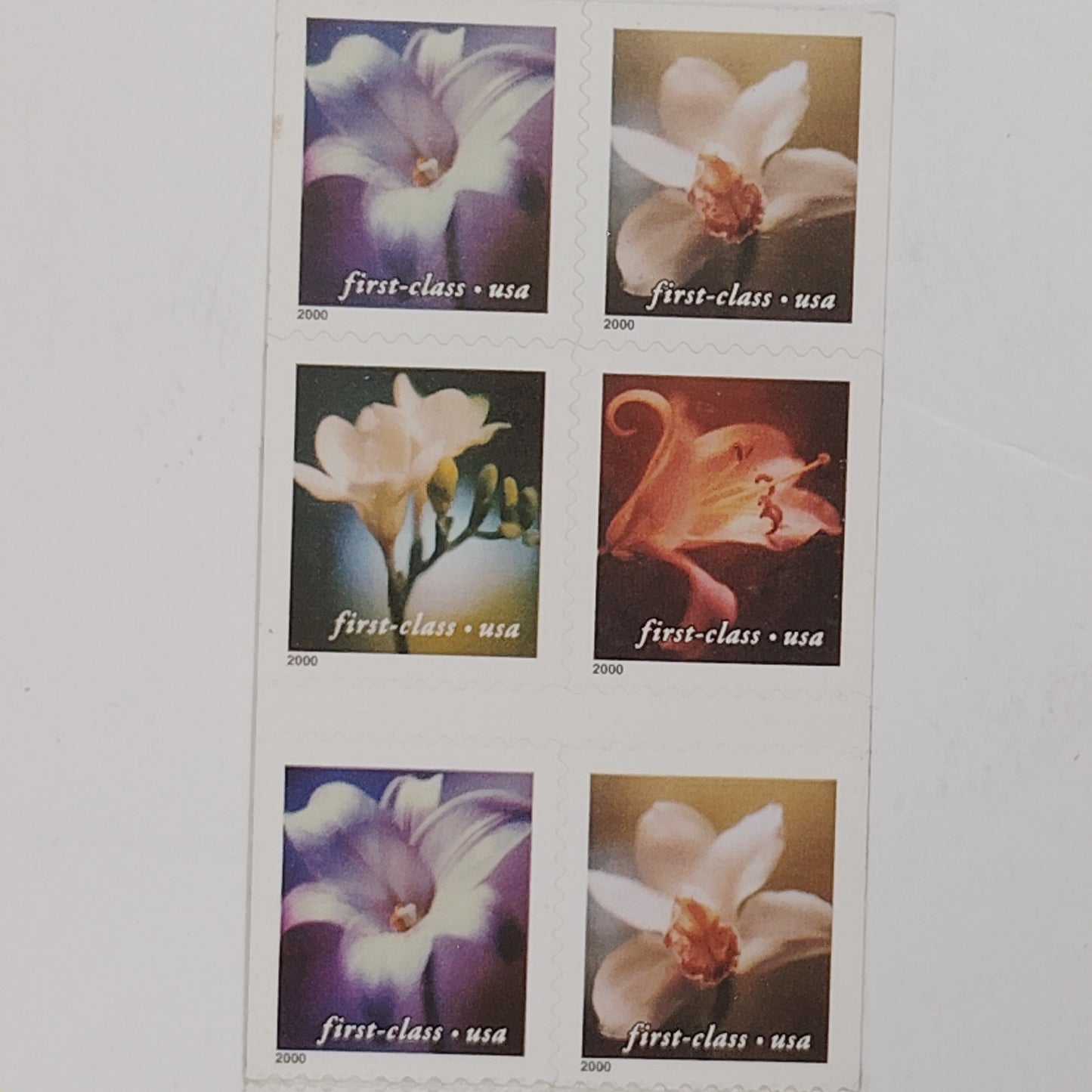 2000 Four Flowers Stamps – Lot of 14/20 – 34¢ – MNH – Photographic USPS Booklet