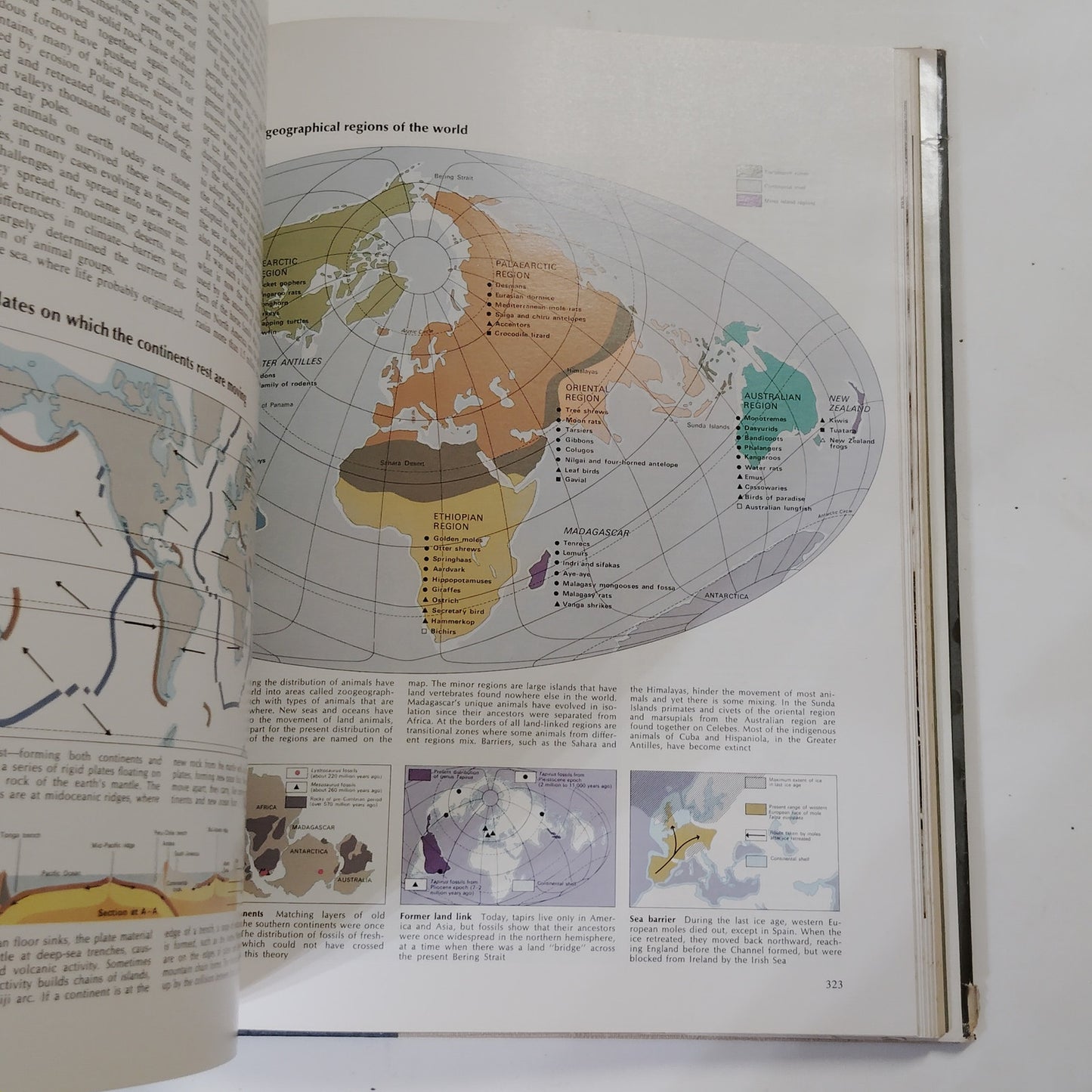 Reader’s Digest Fascinating World of Animals 1971 Hardcover 12.5" x 9.5" x 2"