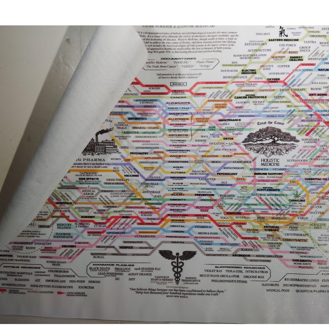 Big Pharma vs. Holistic Medicine Canvas Print – Conspiracy Infographic Wall Art (18x12")