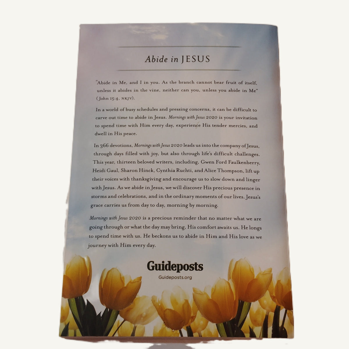 Mornings with Jesus 2020: 366 Devotions Softcover Daily Devotional Book