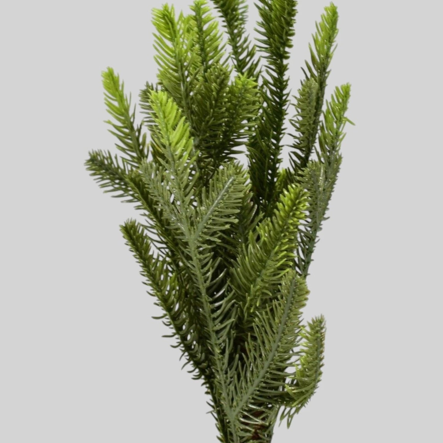 16‑PK Small Centerpiece Trees 14" Tall – B&W Weighted Fabric Base, Rustic Décor