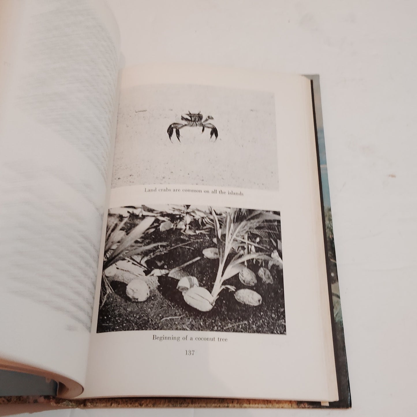 Tahiti Today Sightseeing and Shopping Guide 1970 Hardcover LN