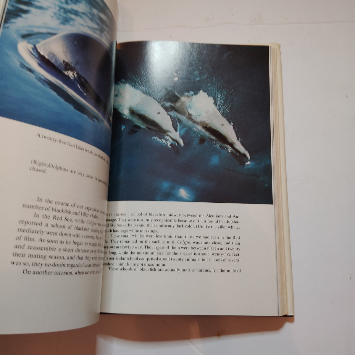 The Whale Mighty Monarch of the Sea 1972 Cousteau Hardcover Excellent One-Owner