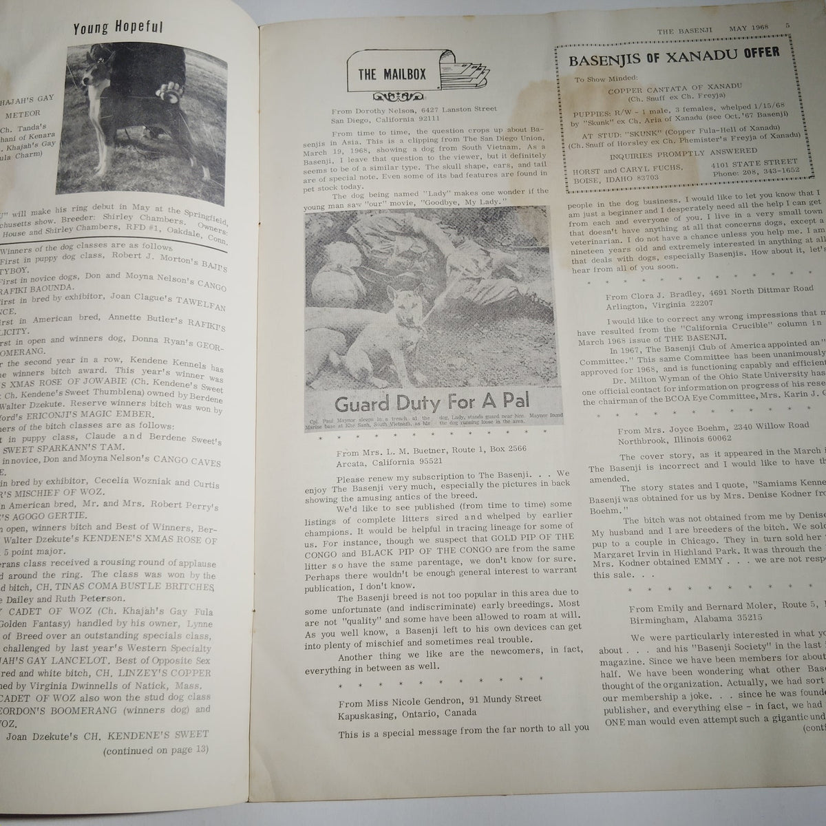 The Basenji Magazine May 1968 Vol V No 5 - Vintage Basenji Dog Issue