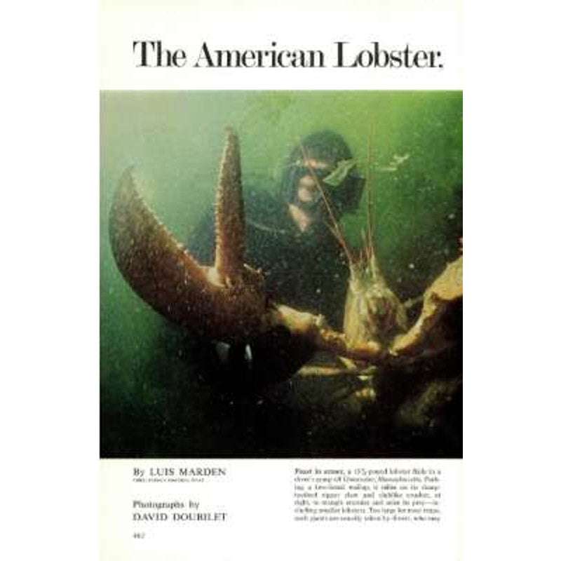 National Geographic Magazine April 1973, Calcutta, Pennsylvania, Madeira & More
