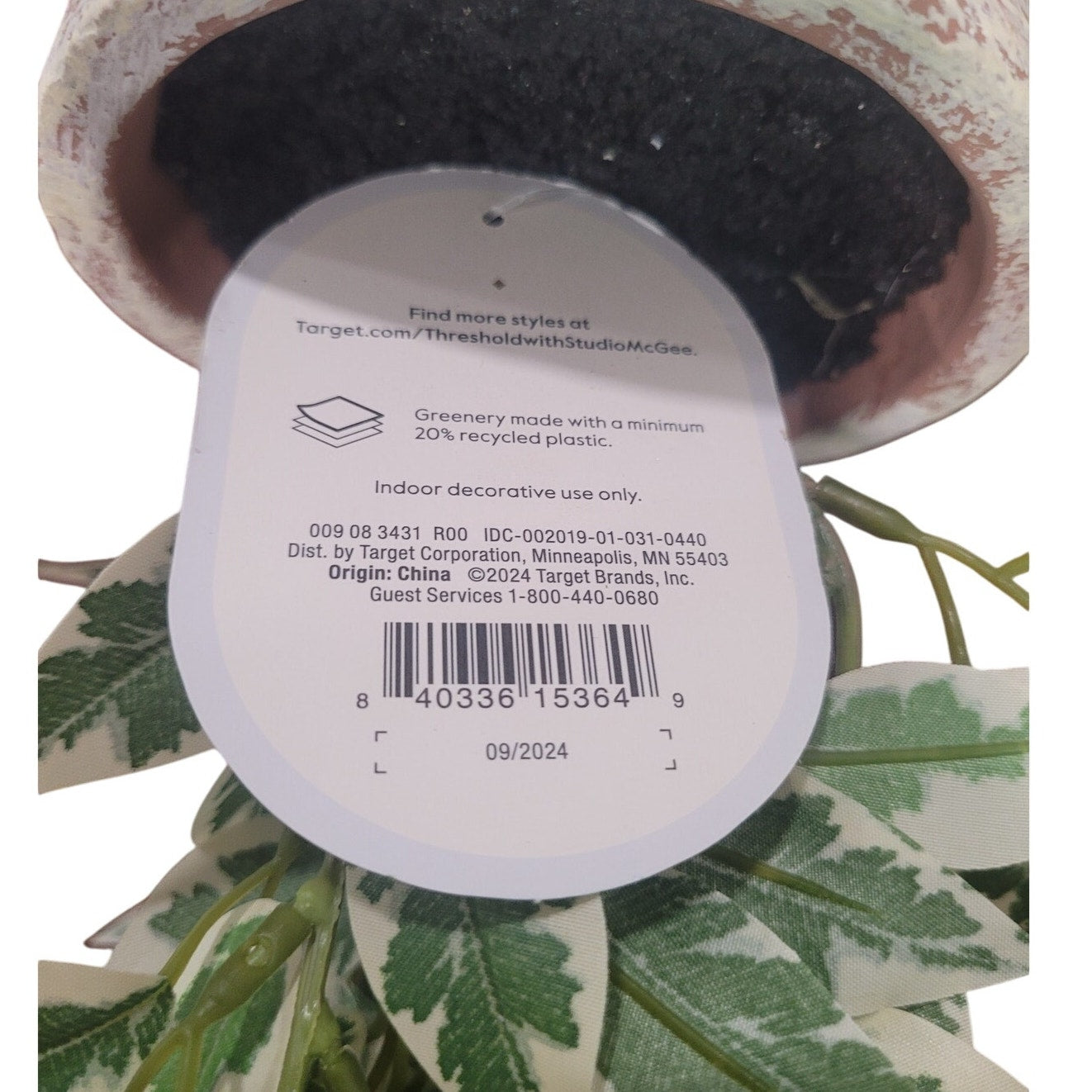 15" Variegated Ficus Artificial Plant - Threshold - Designed with Studio McGee