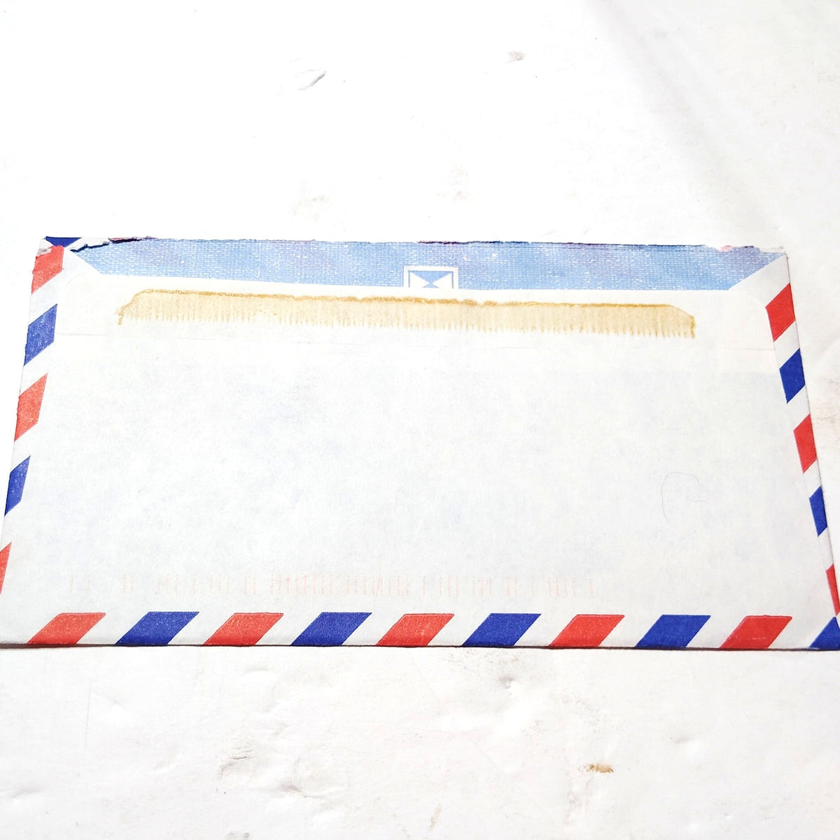 1999 New Zealand Airmail Cover $1.50 Horse Stamp Wellington Postmark to USA