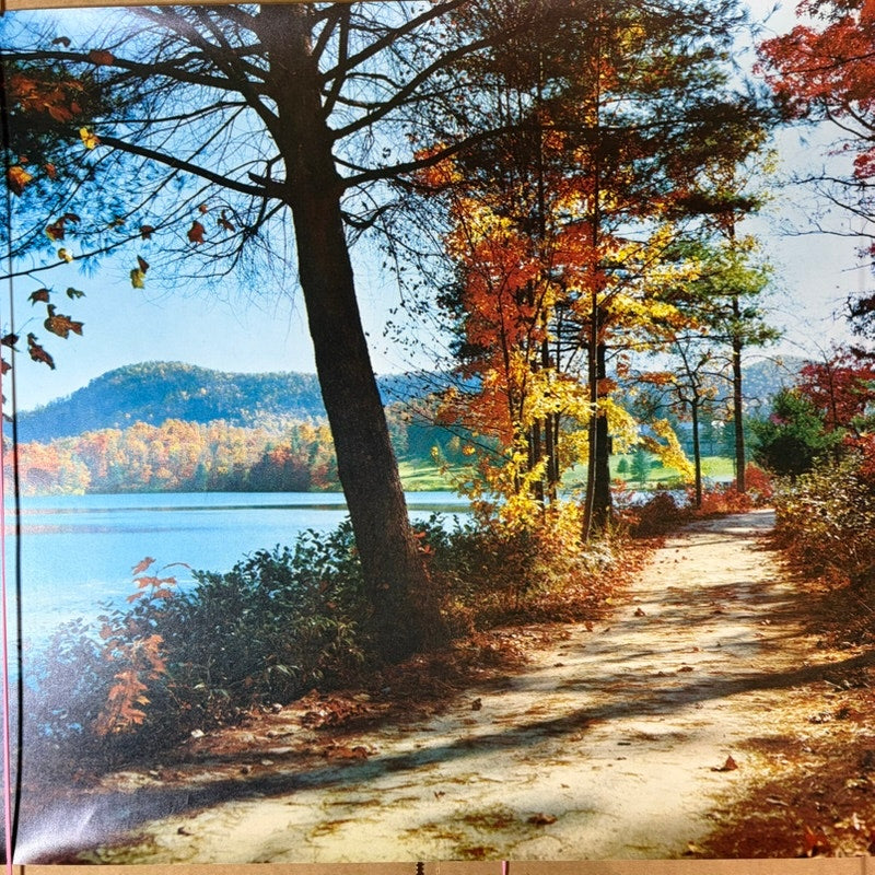 Vintage Autumn Lakeside Path Wall Art Poster – 20" x 16" Serene Nature Scene