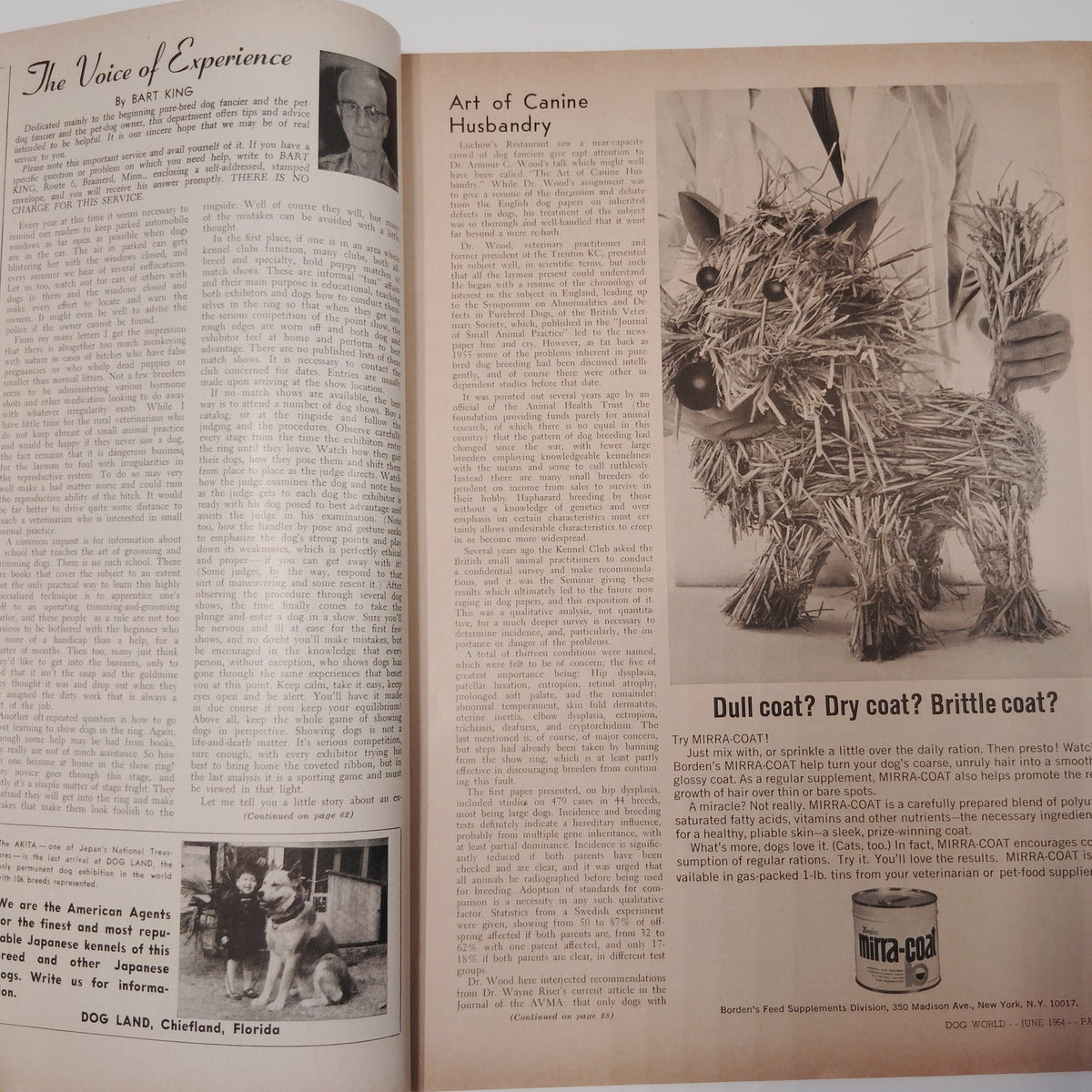 Dog World Magazine June 1964 Special Standards Issue 132 Breeds Vintage