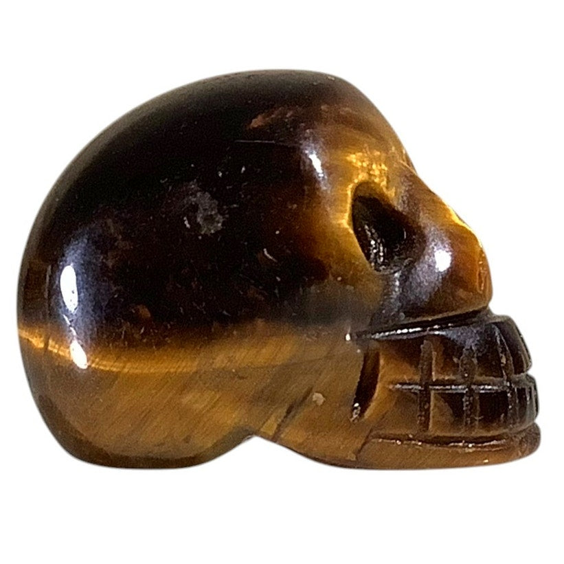 Skull- Carved Tiger's Eye Jasper Quartz - Figurine 1"L x 3/4"H