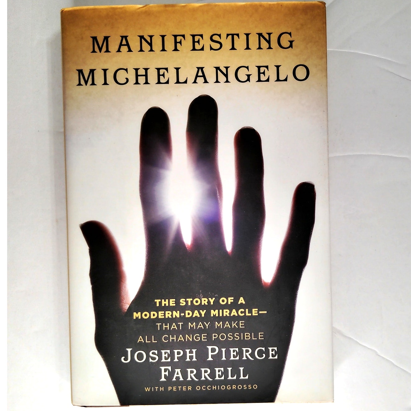 Manifesting Michelangelo  Modern‑Day Miracle Healing Story Hardcover 1st Ed
