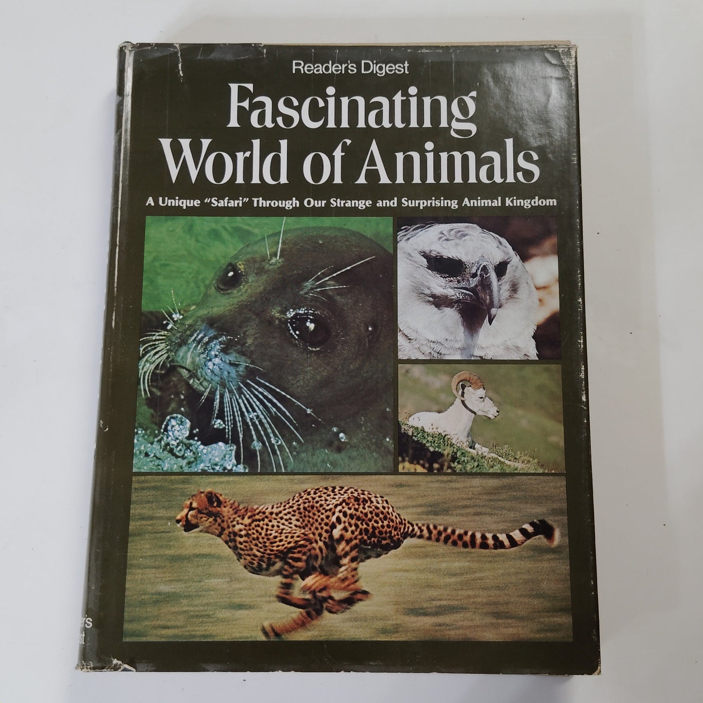 Reader’s Digest Fascinating World of Animals 1971 Hardcover 12.5" x 9.5" x 2"