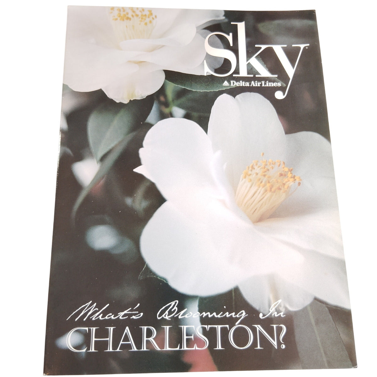 Delta Sky In-Flight Magazine - March 1998 - Charleston & Travel