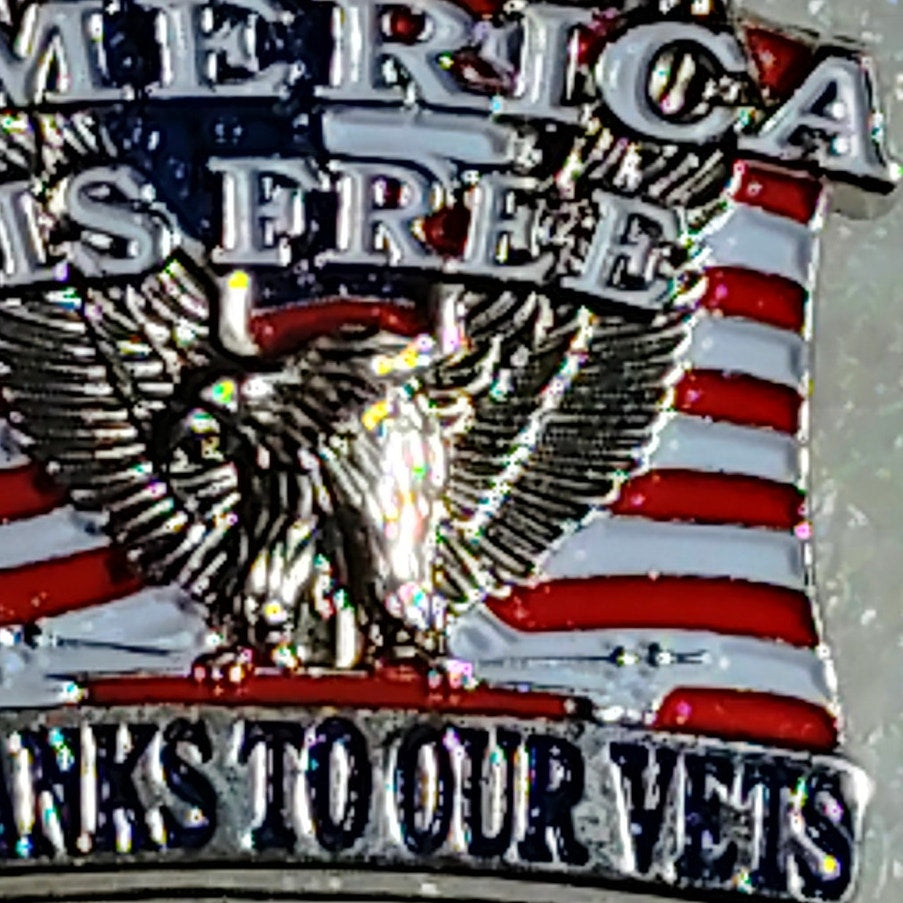 America Is Free Thanks To Our Vets Novelty Hat Lapel Brooch Pin, 1"W × 7/8"H