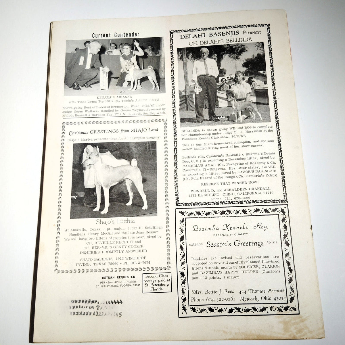 Vintage The Basenji Dog Magazine December 1967 Christmas Issue Vol IV No 12
