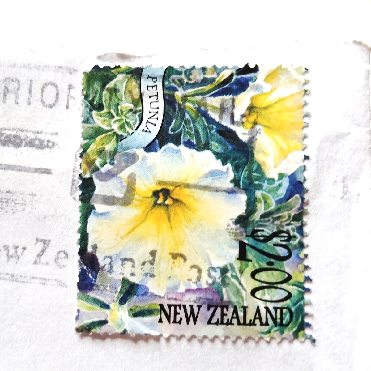 New Zealand 2001 $2.00 Petunia Stamp Cover to US Wellington Airmail Cancel