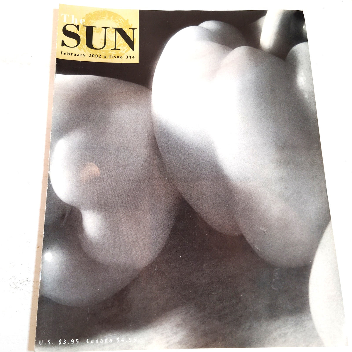 The Sun Magazine February 2002 Issue 314 – Vintage Literary Periodical