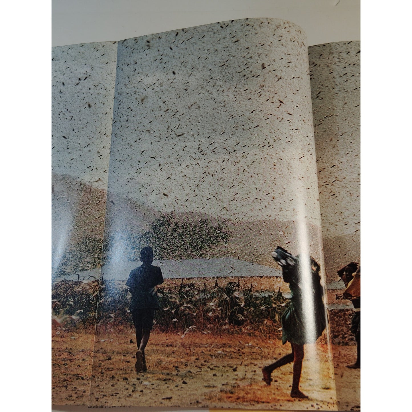 National Geographic Magazine – August 1969, Colorado, Iceland, Mexico, Swaziland