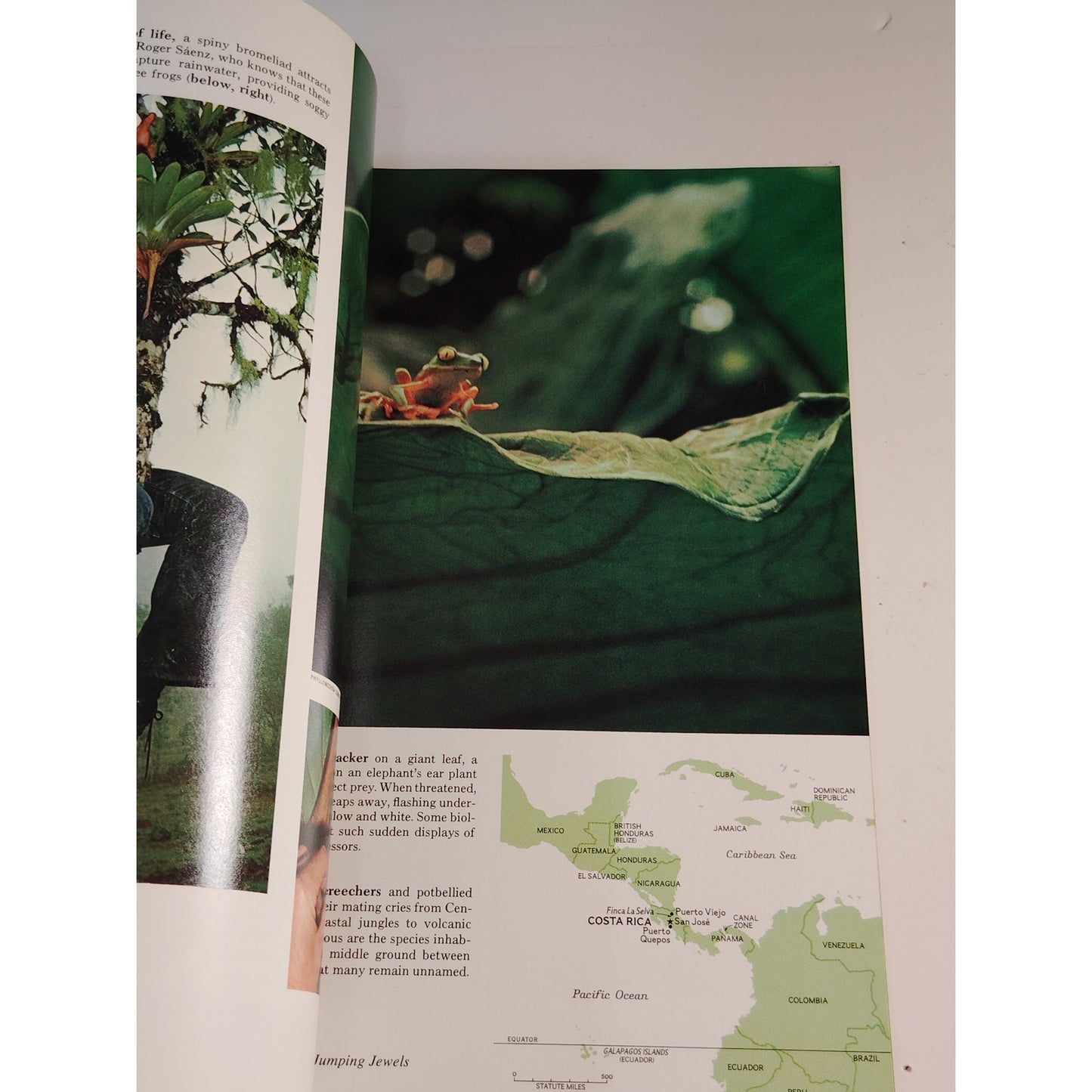 National Geographic Magazine – July 1973, Bangkok, Iceland, Costa Rica, Miami