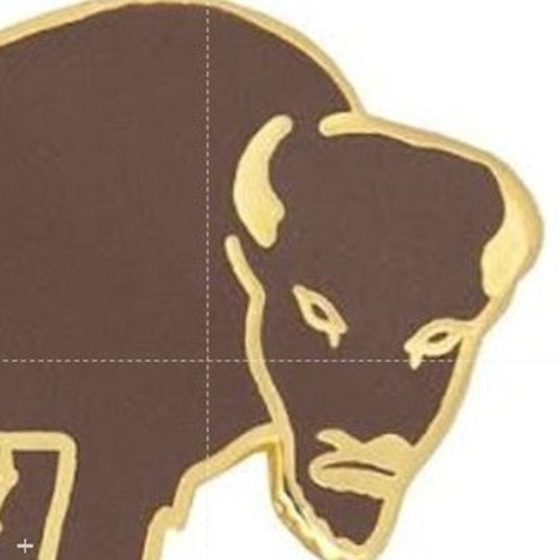 10th Cavalry Regiment Buffalo Soldiers Novelty Hat Lapel Pin 1" × 1"