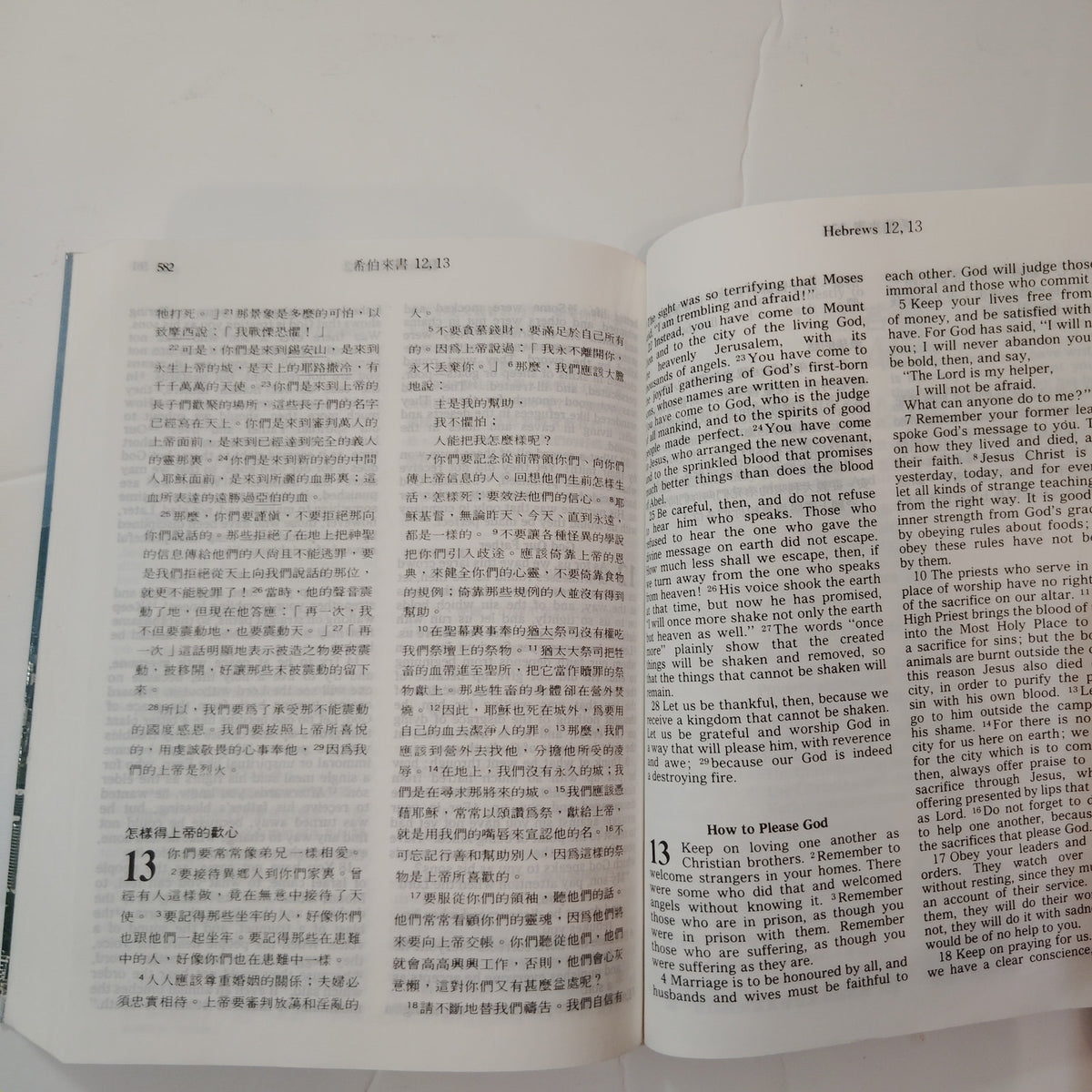 VTG 1976 Good News For Visitors Bible New Testament Chinese English Paperback