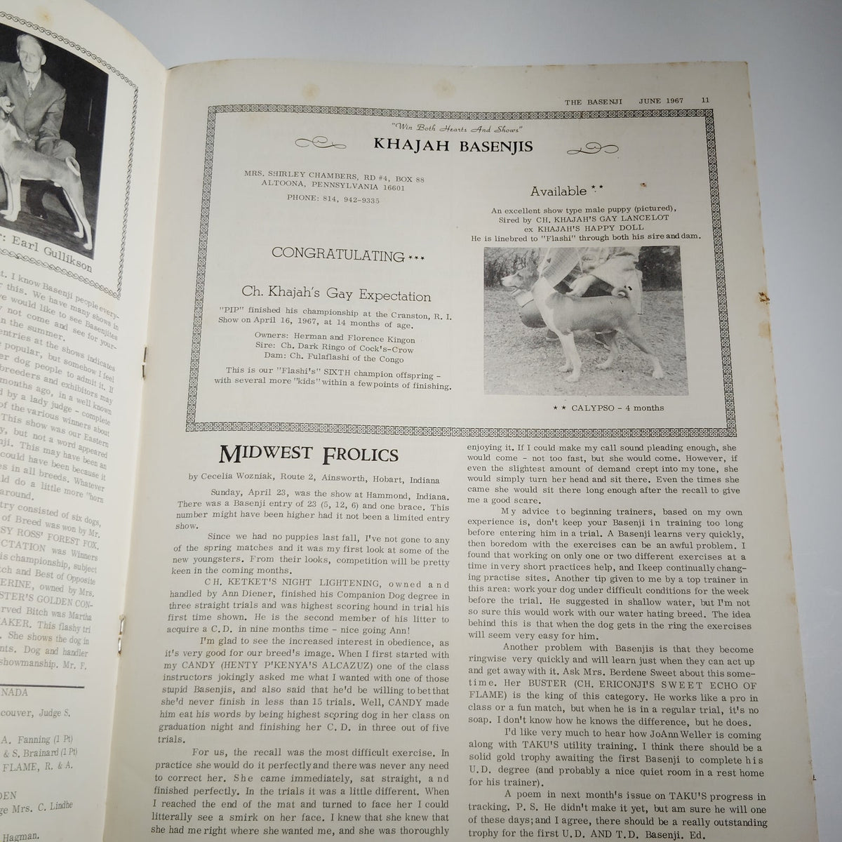 The Basenji Magazine June 1967 Vol. IV No. 6 - Basenji Club of America