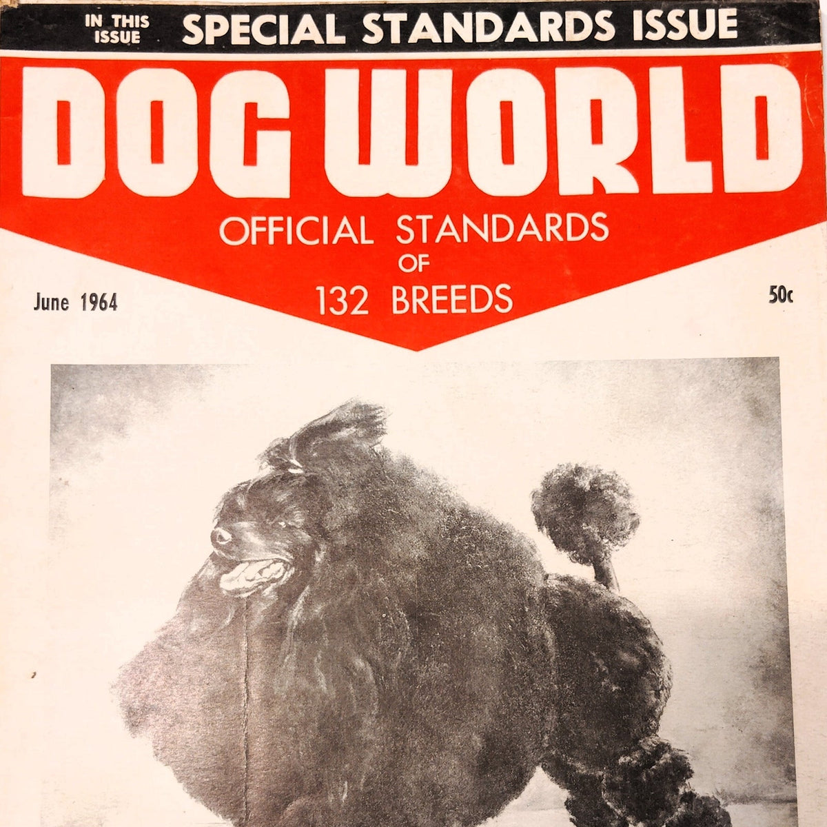 Dog World Magazine June 1964 Special Standards Issue 132 Breeds Vintage