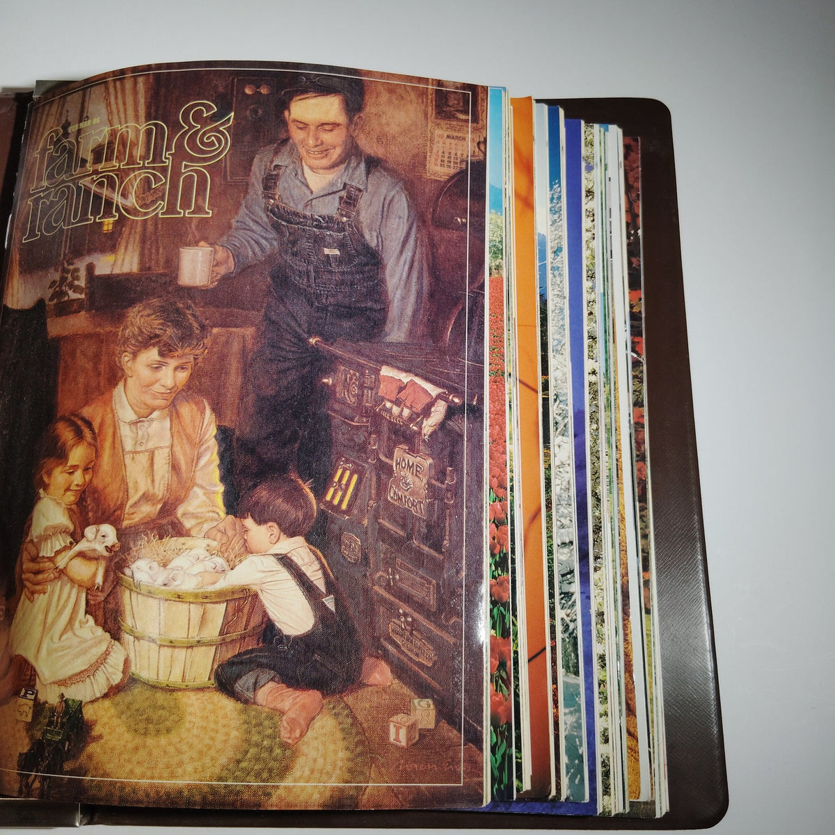 Vintage Farm & Ranch Living 1986-1987 Bound Magazine Lot of 11 in Reiman Binder