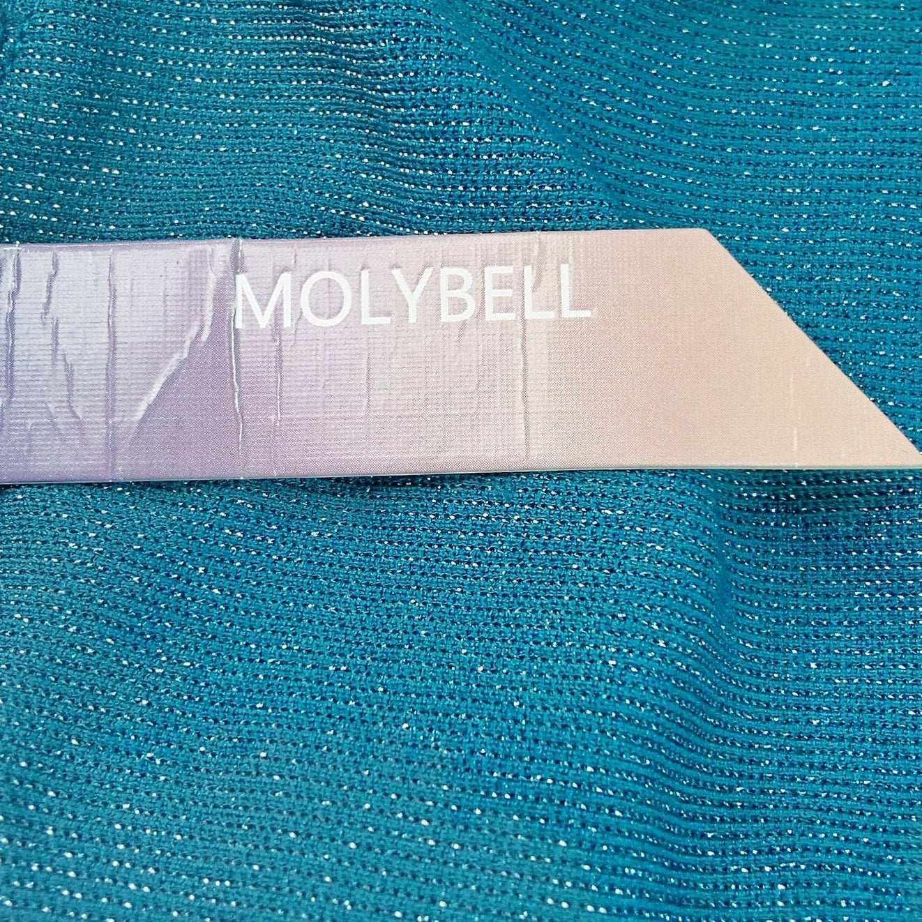 Molybell Blue Metallic One Piece Swimsuit Women’s Large Shimmer Scoop Neck NWT